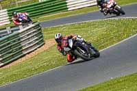 enduro-digital-images;event-digital-images;eventdigitalimages;mallory-park;mallory-park-photographs;mallory-park-trackday;mallory-park-trackday-photographs;no-limits-trackdays;peter-wileman-photography;racing-digital-images;trackday-digital-images;trackday-photos